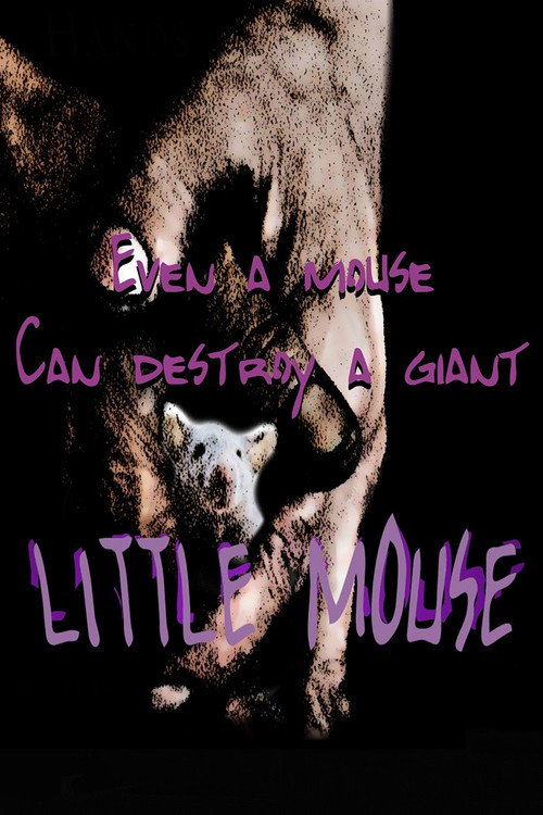 Movie poster for Little Mouse (2023)