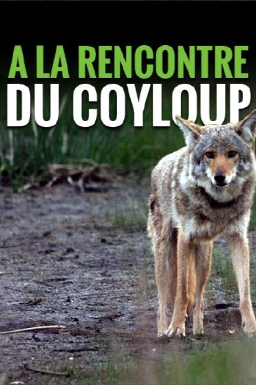 Movie poster for A la rencontre du coyloup (2013)