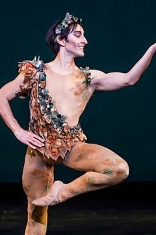 Movie poster for Royal Ballet All-Star Gala (2020)