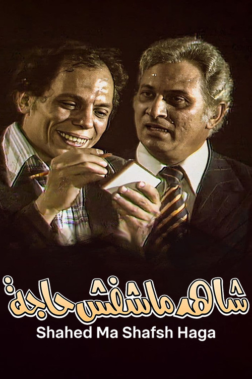 Movie poster for The Witness Who Didn't See Anything (1976)
