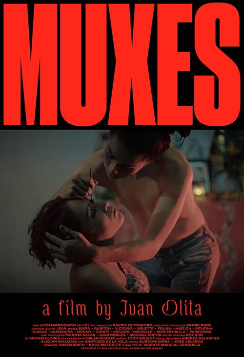 Movie poster for Muxes (2016)