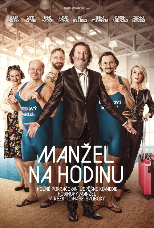 Movie poster for Manžel na hodinu (2016)