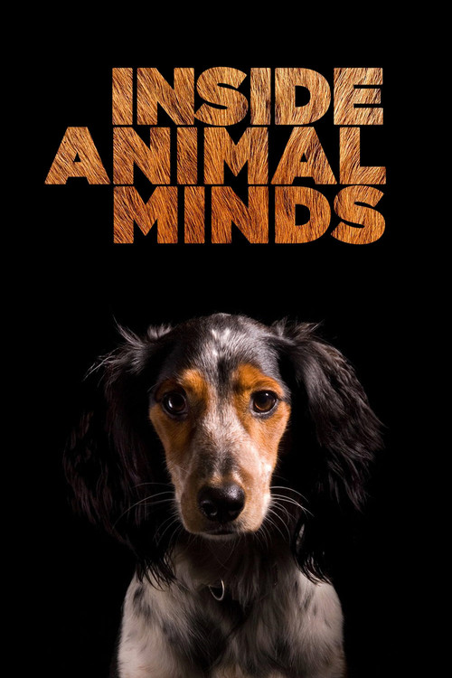 Movie poster for Inside Animal Minds (2014)