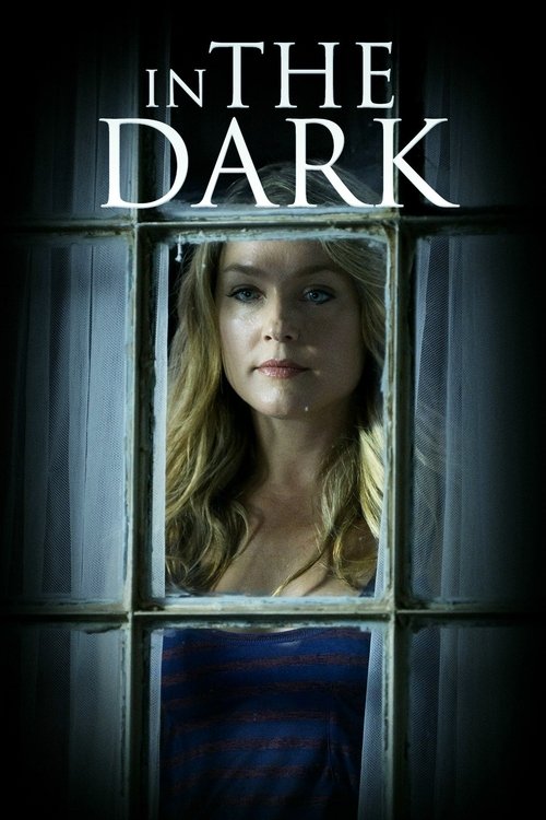 Movie poster for In the Dark (2013)
