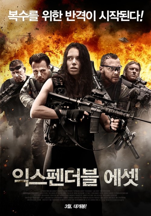 Movie poster for Expendable Assets (2016)