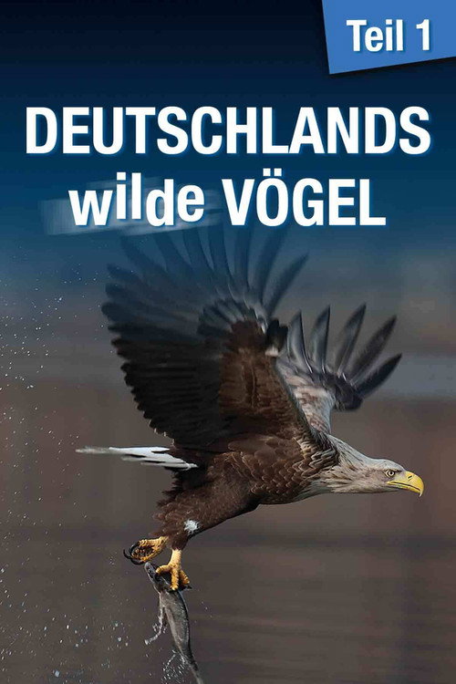Movie poster for Deutschlands wilde Vögel (2013)