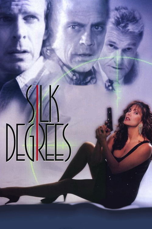 Movie poster for Silk Degrees (1994)