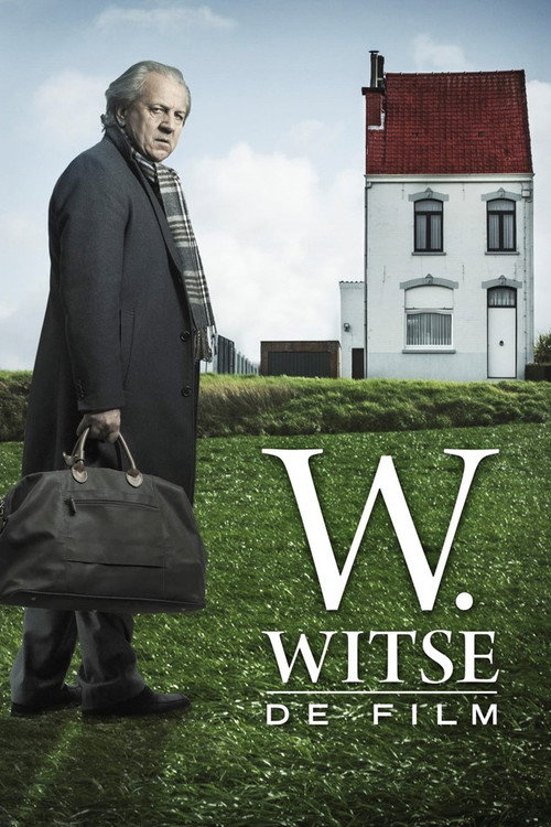 Movie poster for W. Witse: de film (2014)