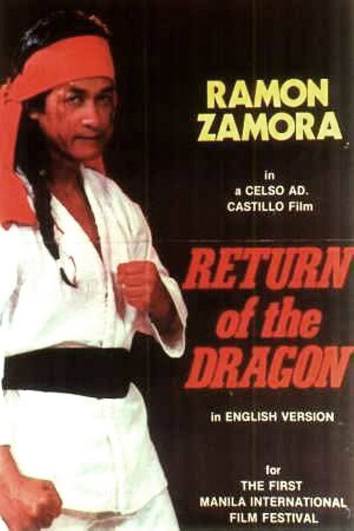 Movie poster for Return of the Dragon (1974)