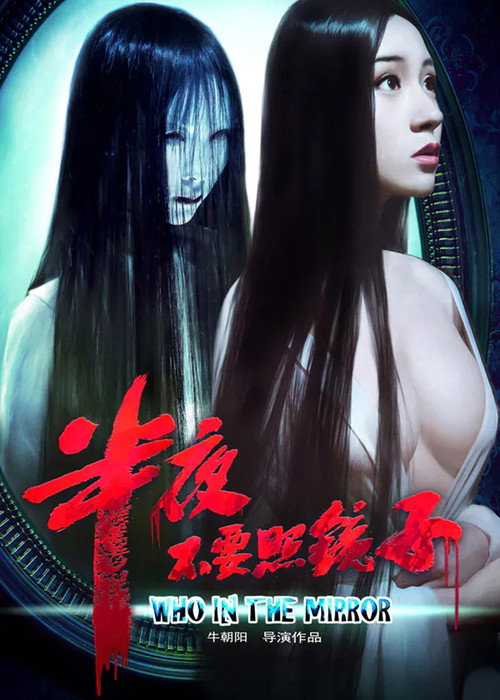 Movie poster for Who In The Mirror (2012)