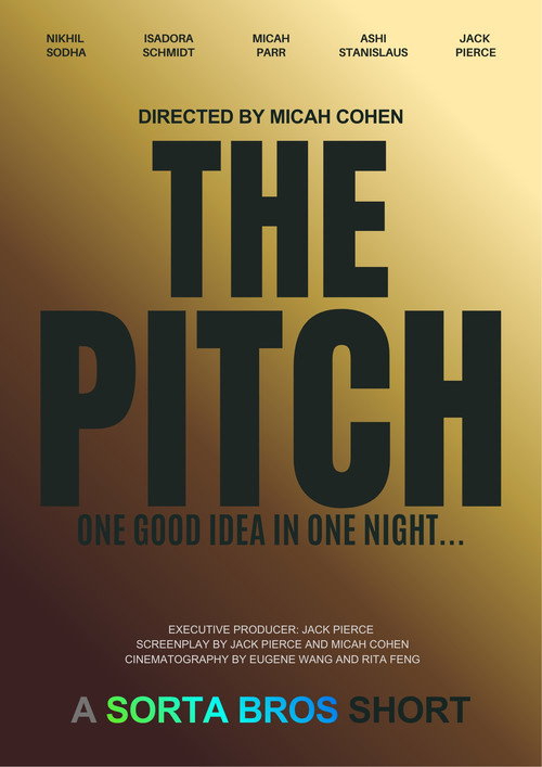 Movie poster for The Pitch