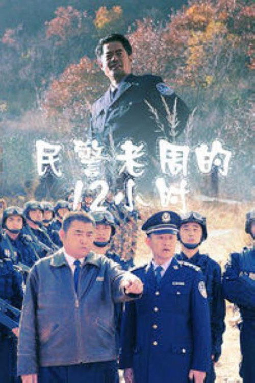 Movie poster for Zhou's 12 Hours (2011)