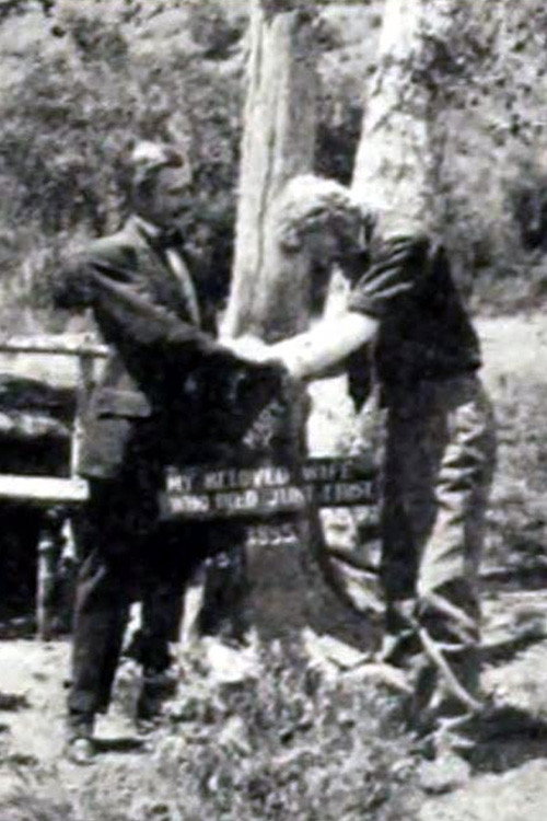 Movie poster for In the Right of Way (1911)