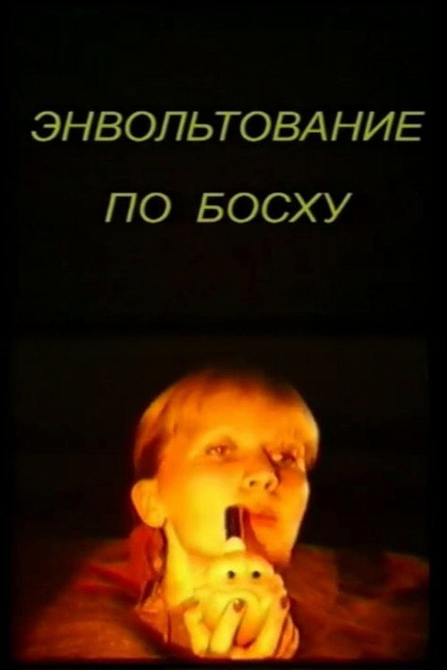 Movie poster for Bosch Envoltation (1985)