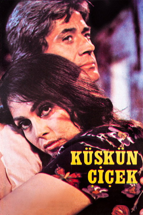 Movie poster for Resentful Flower (1979)