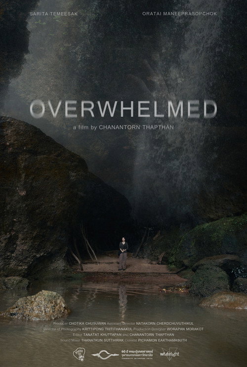 Movie poster for OVERWHELMED (2025)
