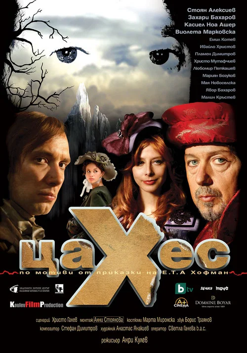 Movie poster for Zaches (2010)