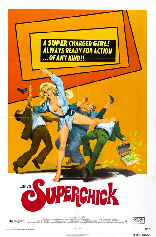 Movie poster for Superchick (1973)