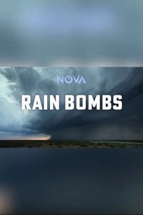 Movie poster for Rain Bomb (2026)