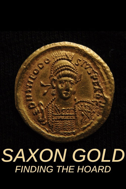 Movie poster for Saxon Gold: Finding the Hoard (2010)