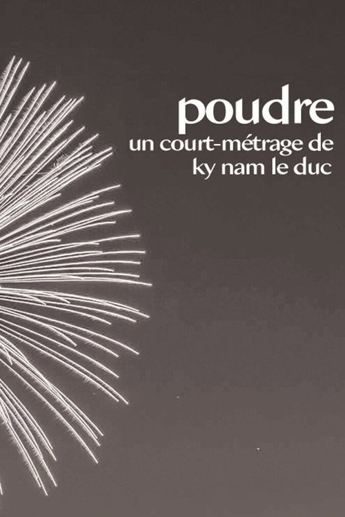 Movie poster for Powder (2010)