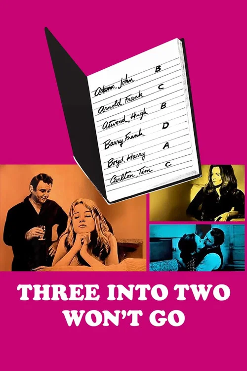 Movie poster for 3 Into 2 Won't Go (1969)