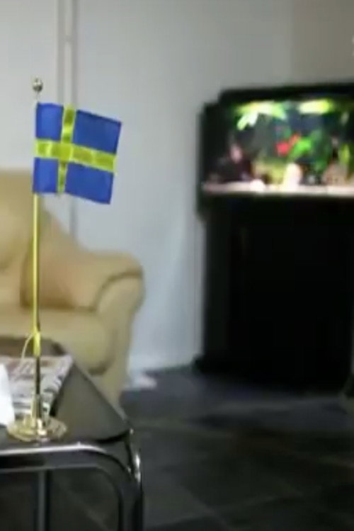 Movie poster for Sverigedemokraterna - vägen till riksdagen (2010)