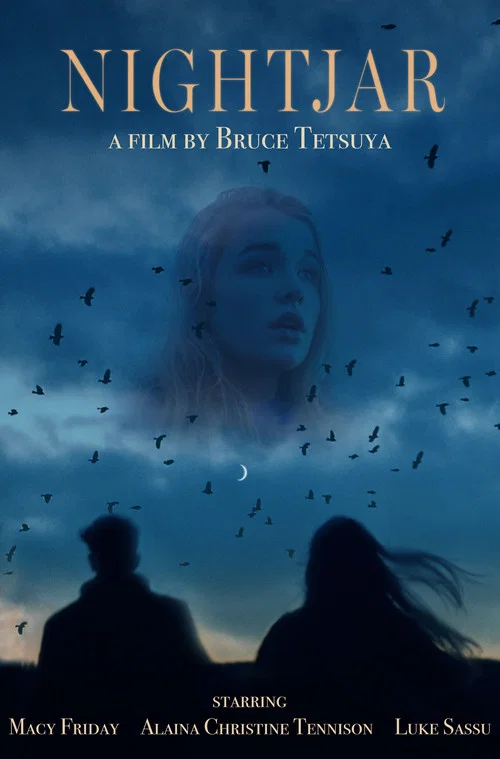 Movie poster for Nightjar (2019)