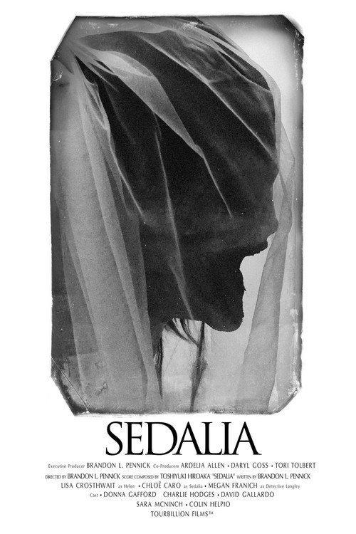 Movie poster for SEDALIA (2021)