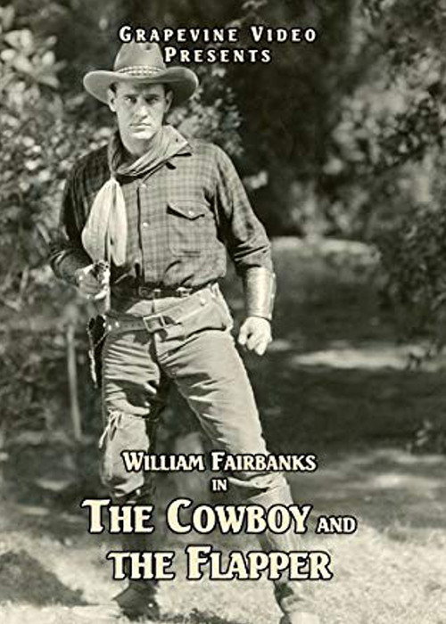 Movie poster for The Cowboy and the Flapper (1924)
