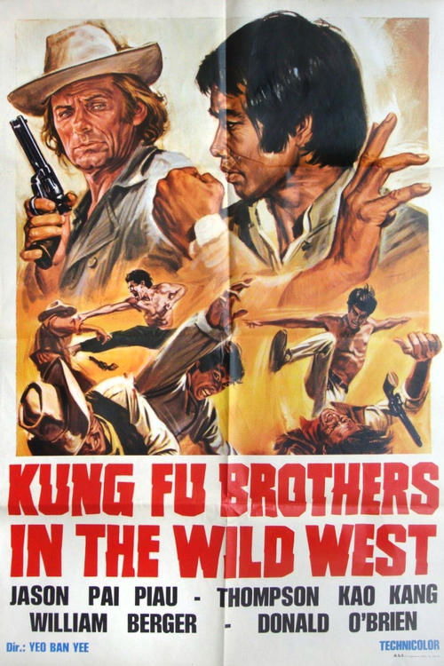 Movie poster for Kung Fu Brothers in the Wild West (1973)