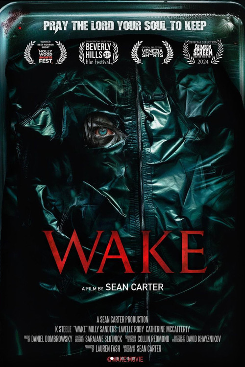 Movie poster for Wake (2024)