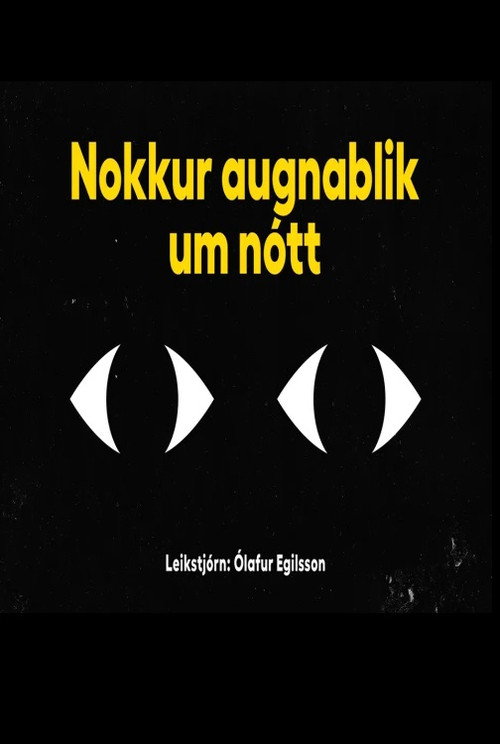 Movie poster for Nokkur augnablik um nótt (2024)