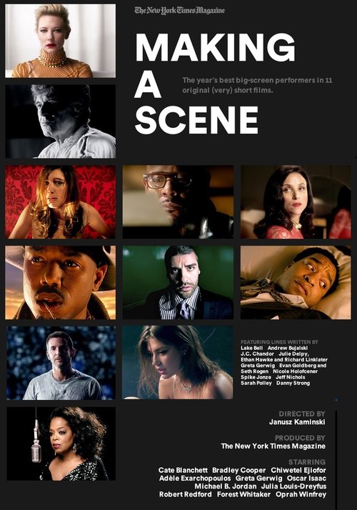 Movie poster for Making a Scene | 11 Performances (2013)