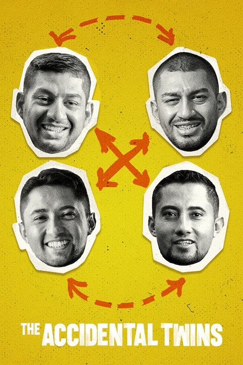 Movie poster for The Accidental Twins (2024)