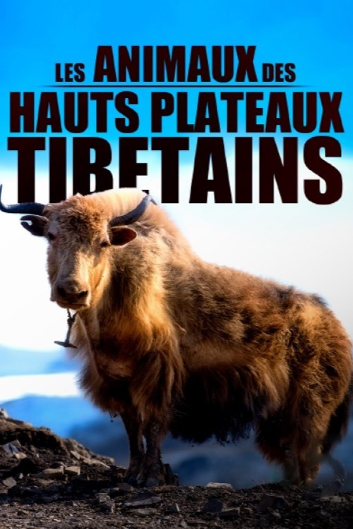 Movie poster for Les animaux des hauts plateaux tibétains (2020)