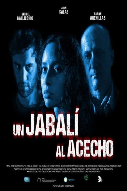 Movie poster for Un jabalí al acecho (2021)