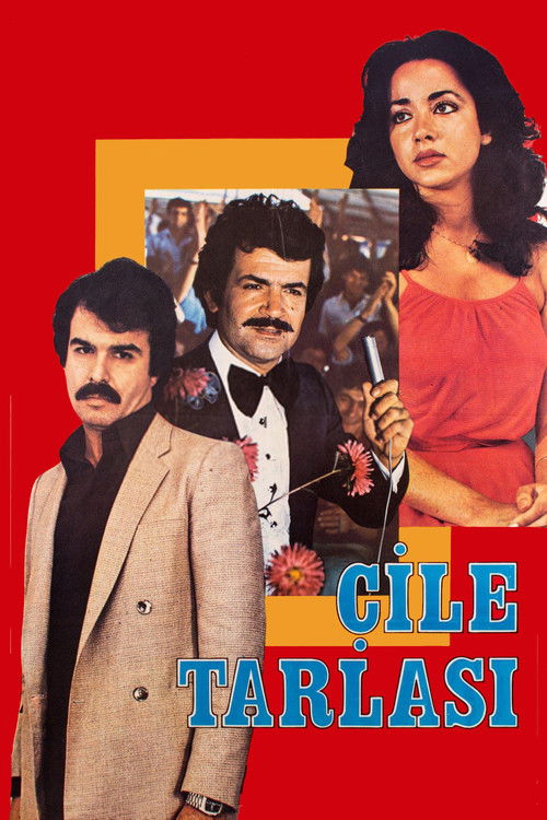 Movie poster for Çile Tarlası (1980)
