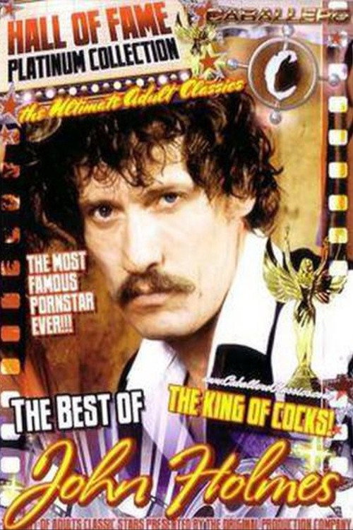 Movie poster for Caballero Hall of Fame Best of John Holmes (2003)