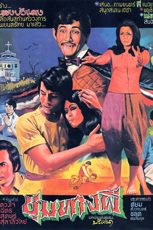 Movie poster for Ghost Junction (1975)