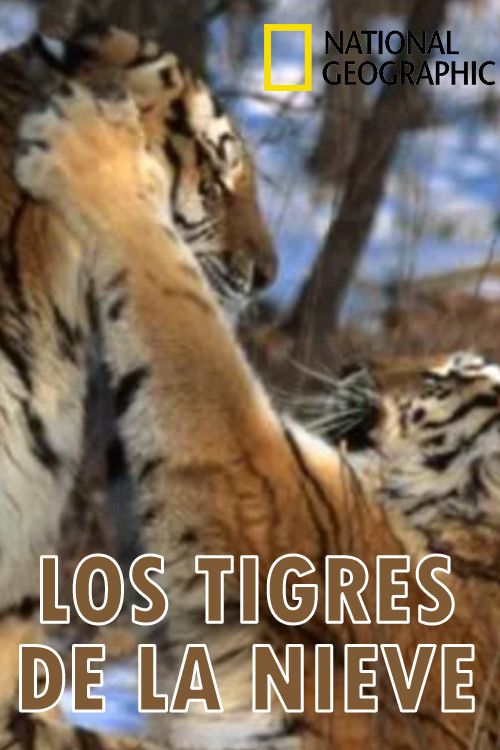 Movie poster for Los tigres de la nieve (1996)