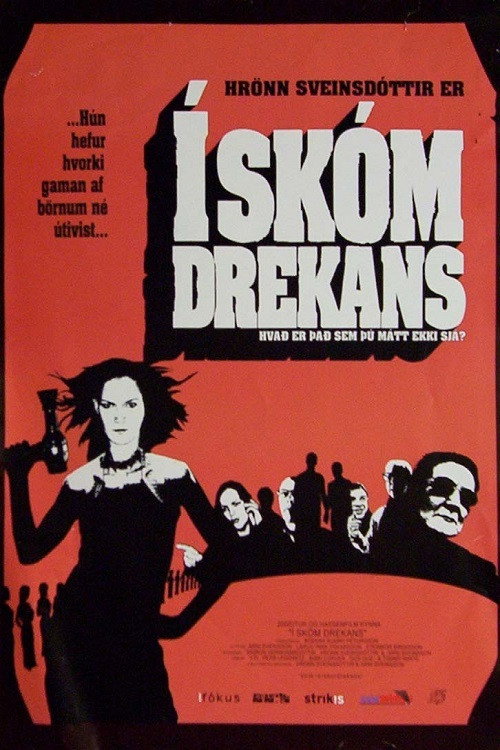 Movie poster for In the Shoes of the Dragon (2002)