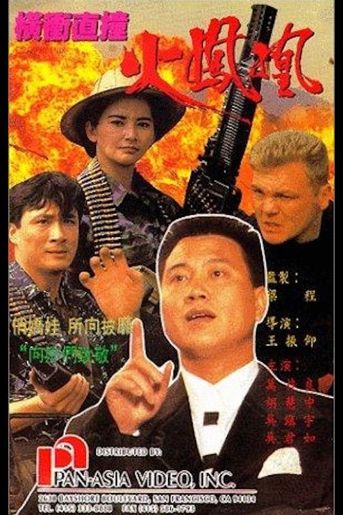 Movie poster for Fire Phoenix (1990)