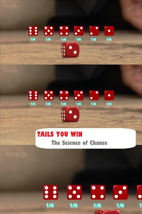 Movie poster for Tails You Win: The Science of Chance (2012)