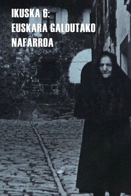 Movie poster for Ikuska 6: Euskara galdutako Nafarroa (1980)