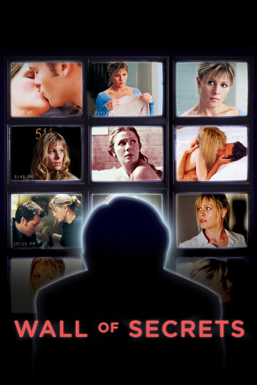 Movie poster for Wall of Secrets (2003)