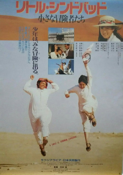 Movie poster for The Voyage Of Little Sinbad (1991)