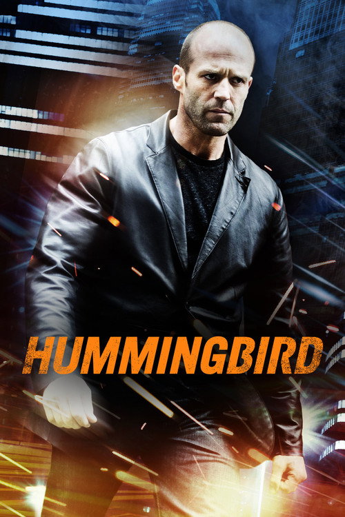 Movie poster for Hummingbird (2013)