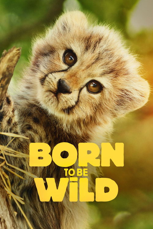 Born to Be Wild poster