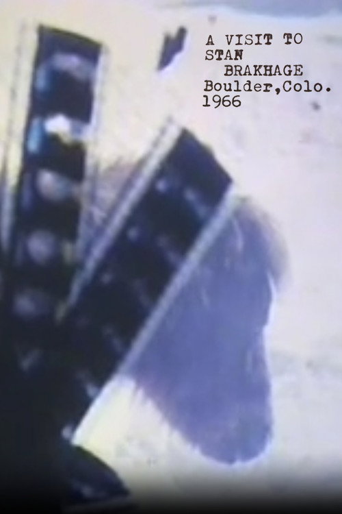 Movie poster for A Visit to Stan Brakhage (2006)